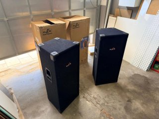 2 Altavoces DAS Mi215