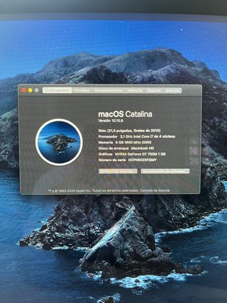 iMac 21,5 (fine 2013)