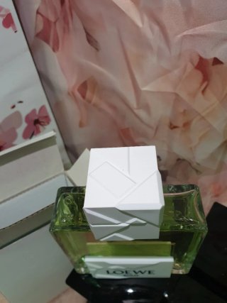 Perfume Loewe Solo origami edt 100ml