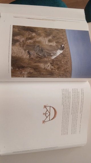 Set de 4 libros de Cetreria
