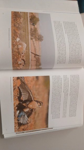 Set de 4 libros de Cetreria