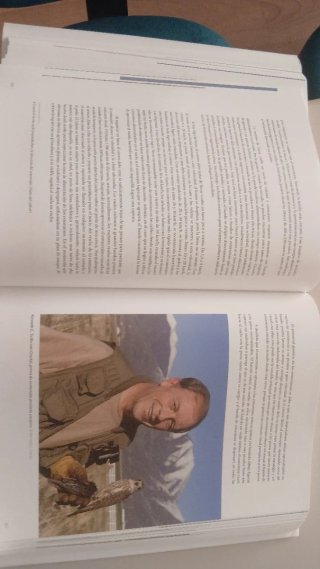 Set de 4 libros de Cetreria