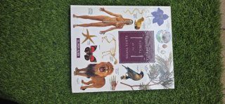 Varios enciclopedia infantiles
