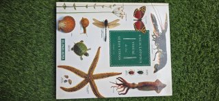 Varios enciclopedia infantiles