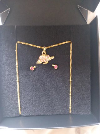 Collar y pendientes tortuga bañados de oro