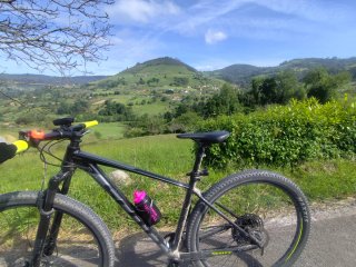 Scott Scale 970 29 Bicicleta Montaña