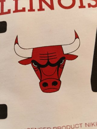 Camiseta Nike Chicago Bulls