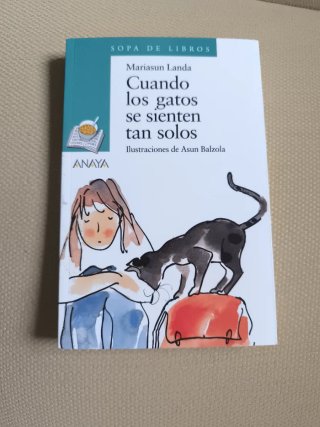 Cuando los gatos se sienten tan solos