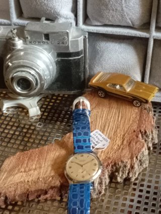 Orologio Gimar 17 Rubini Oversize 40mm