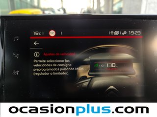 Citroen C4 Cactus BlueHDi 100 Shine 73 kW (100 CV)