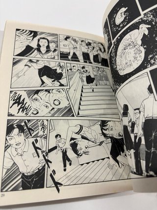 Lunatic lover's 1