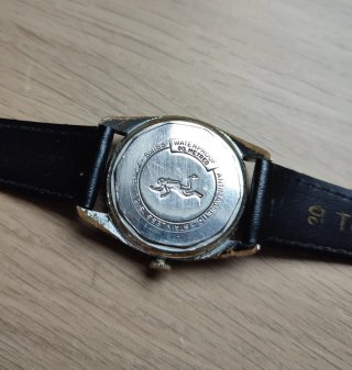 Orologio Seawatch Skin Diver Vintage squale