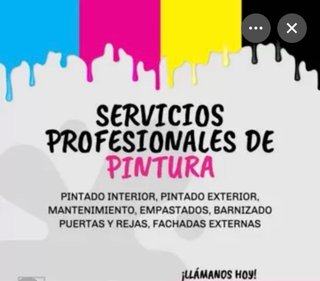 Servicios de Pintura Profesional1