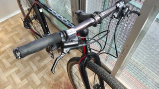 Bici Focus Arriba Talla M