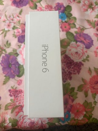 iPhone 6 Gris/Plata
