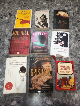 Lote de libros