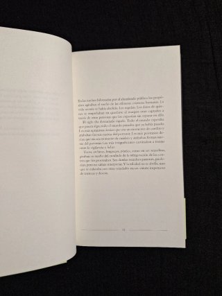Belén Gopegui Durán. Te siguen