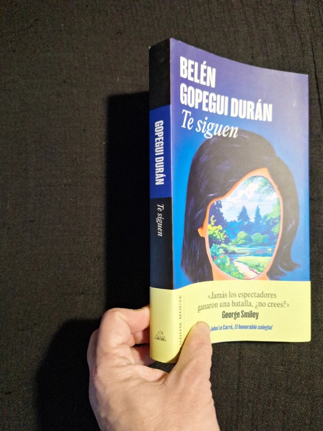 Belén Gopegui Durán. Te siguen