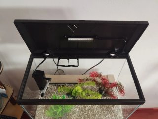 Acuario 17L con luz - Como nuevo