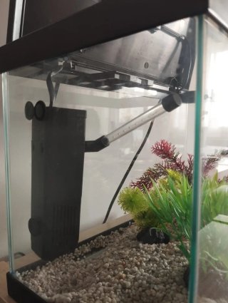 Acuario 17L con luz - Como nuevo