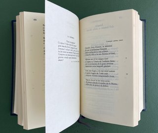 D'ANNUNZIO Versi amore gloria vol 1 - VOLUME NUDO