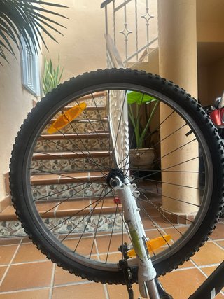 Bicicleta Scott JR 24