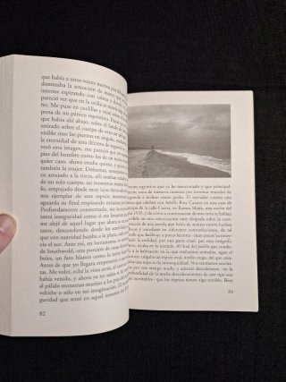 W. G. Sebald. Los anillos de Saturno