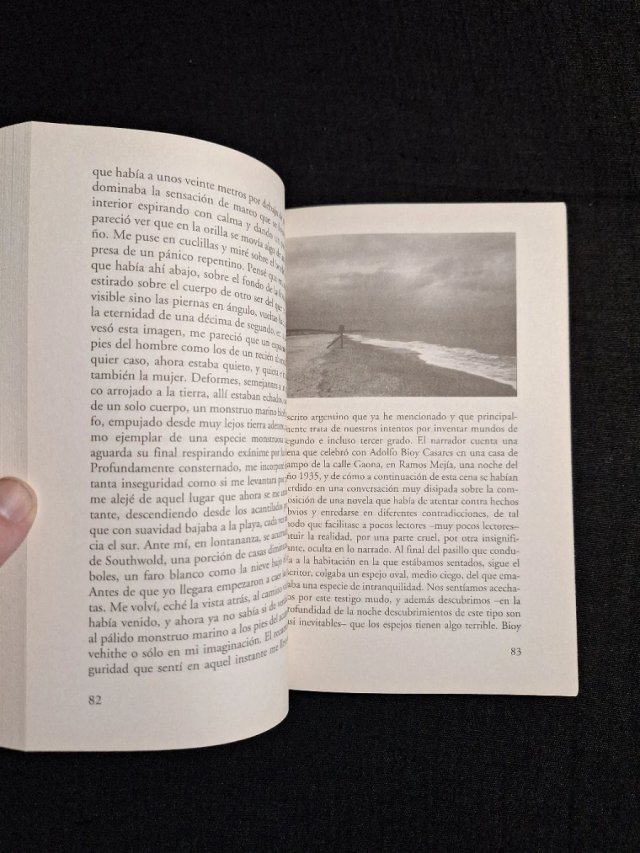 W. G. Sebald. Los anillos de Saturno