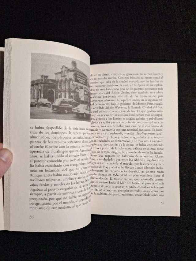 W. G. Sebald. Los anillos de Saturno