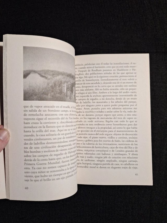 W. G. Sebald. Los anillos de Saturno