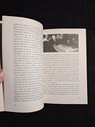 W. G. Sebald. Los anillos de Saturno