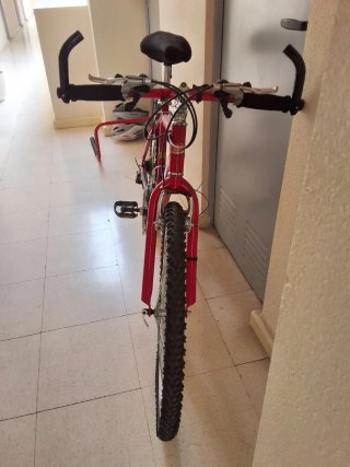 Bicicleta de montaña roja LUTek STRONG