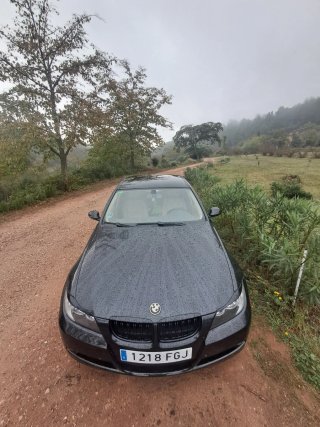 BMW Serie 3 2006