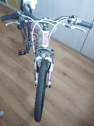 Bicicleta montaña Couler lucy 240