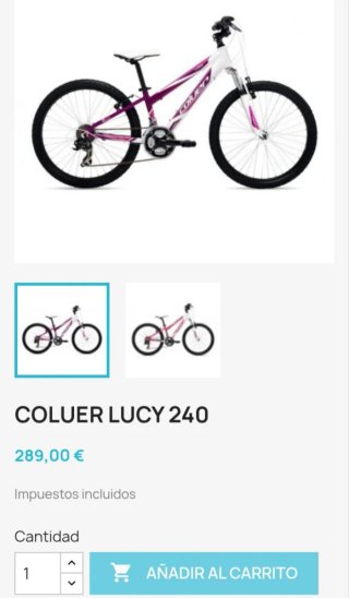 Bicicleta montaña Couler lucy 240