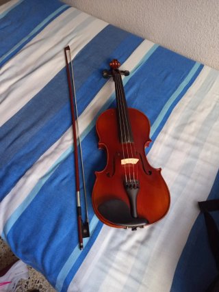 Violín F. Müller con funda