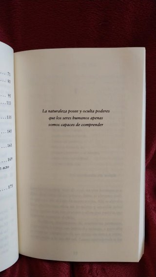 Bajo el árbol Amigo