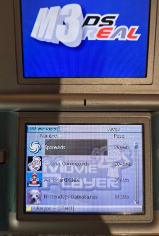 Nintendo DS Lite + Cargador + Muchos juegos