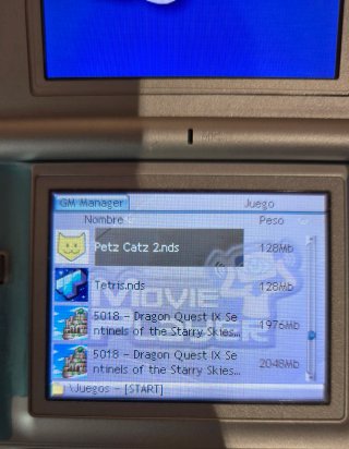 Nintendo DS Lite + Cargador + Muchos juegos