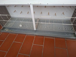 Jaula grande para pájaros o roedores