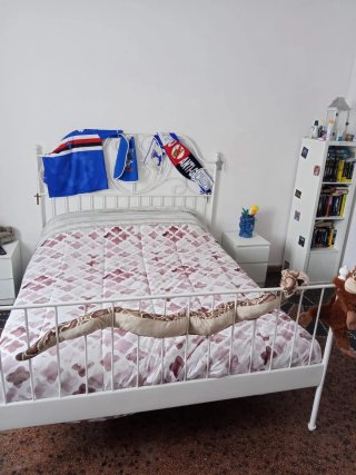 Letto matrimoniale in metallo Ikea Regalo