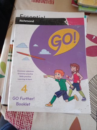 Go! 4 Activity book. Pack de 2