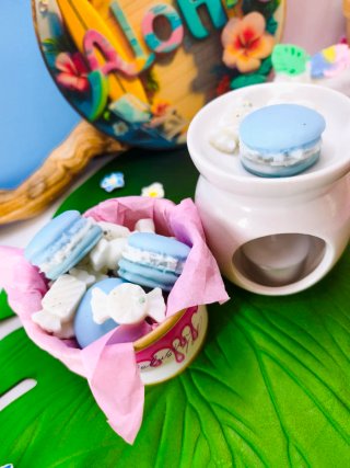 Wax Melts