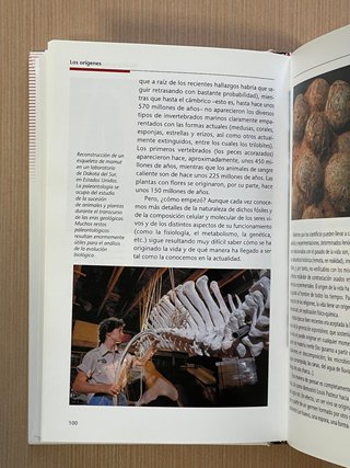 Historia Universal - Los orígenes.