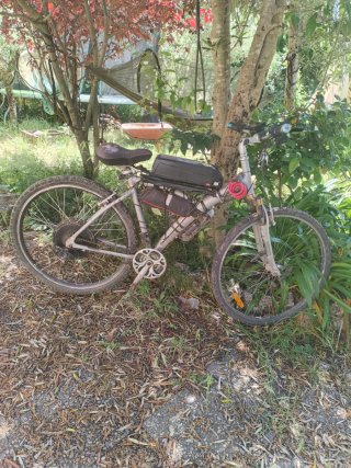 Bici eléctrica muy potente y rápida.