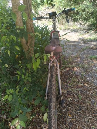 Bici eléctrica muy potente y rápida.