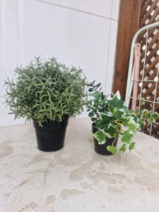 2 Piante artificiali decorative