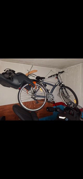 Bicicleta de paseo gris