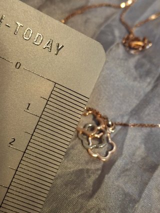 Collana Argento rosa 925 con Ciondoli Fiore