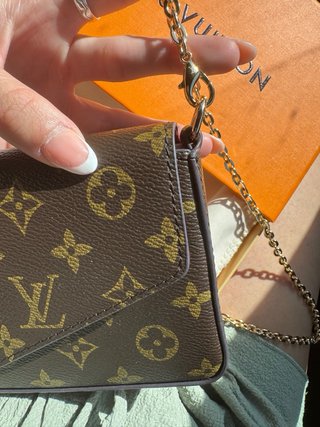 Bolso Louis Vuitton Marrón y Morado
